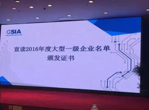 銀江股份獲評2016年度信息系統(tǒng)集成及服務(wù)大型一級企業(yè)