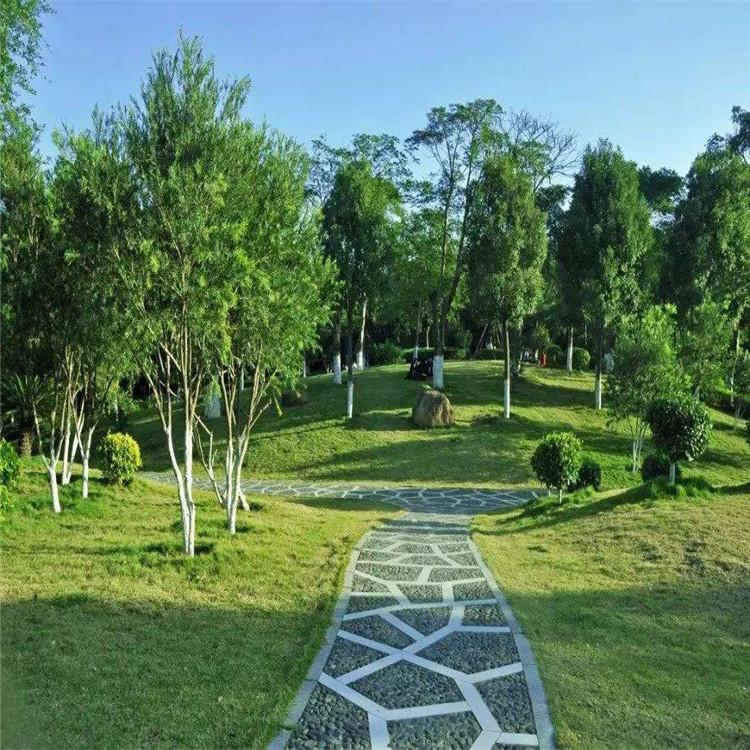 怒江園林綠化施工 市政綠化與園林綠化工程施工的關(guān)鍵要點與實踐